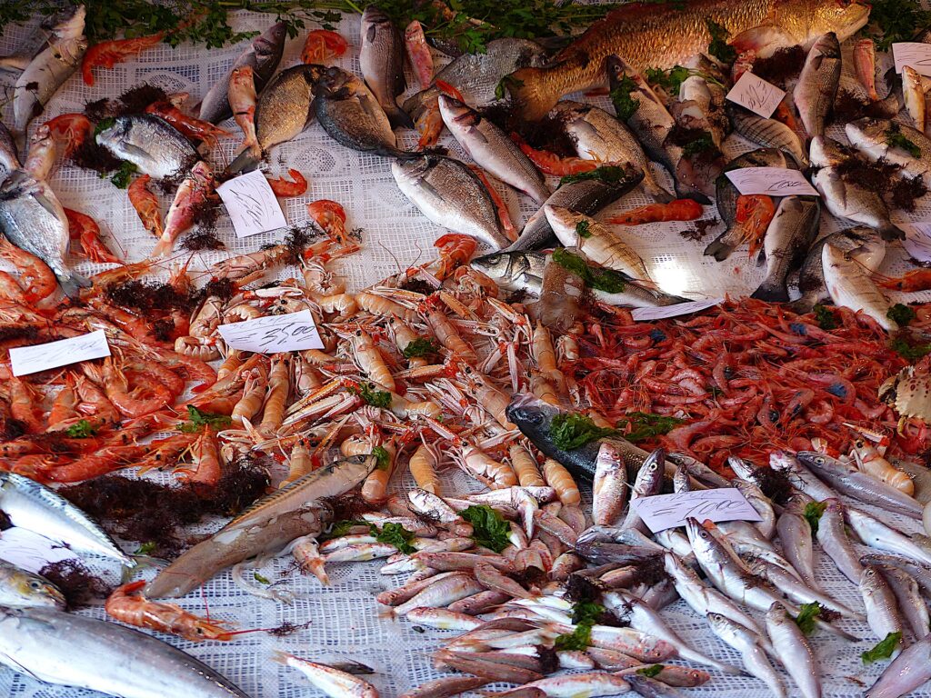 Fish sold at the market in Palermo